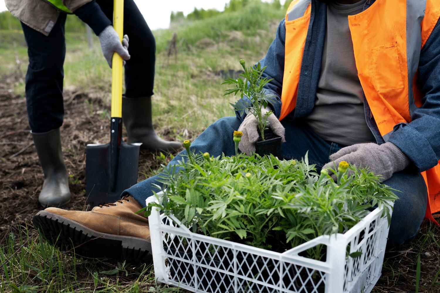 Best Tree Root Removal  in Tamiami, FL